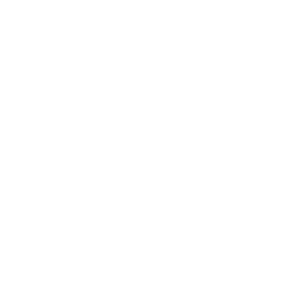 Lucentis/ Eylia / Ozurdex