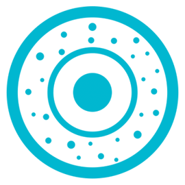 Retinopexia com Introflexão Escleral