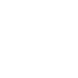 Mapeamento de retina (Fundo de Olho)